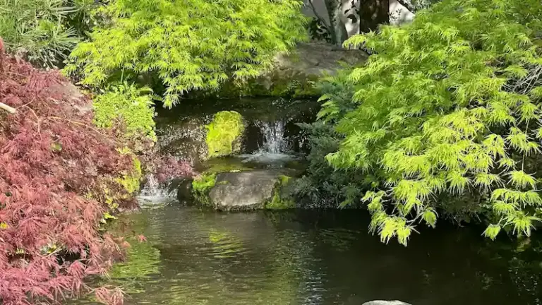 Kōkoen Garden