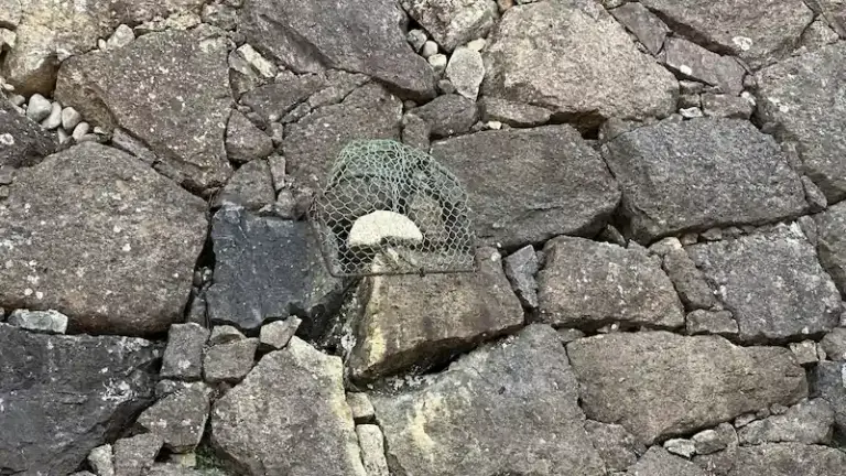 Ubagaiwa (The Old Woman’s Millstone Stone)