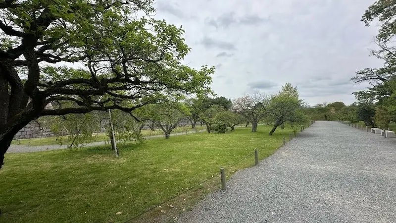 二条城 梅林