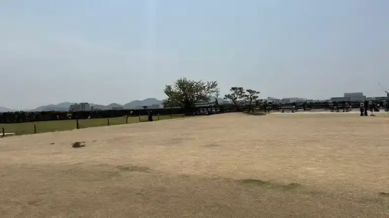 Bizenmaru Compound