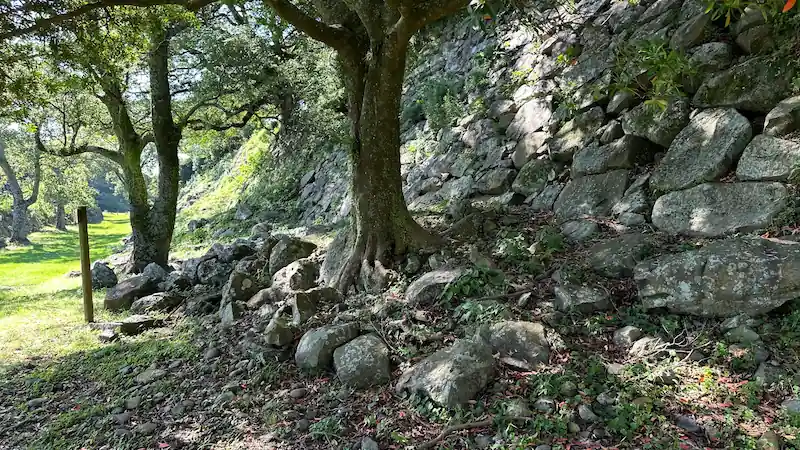 名護屋城跡