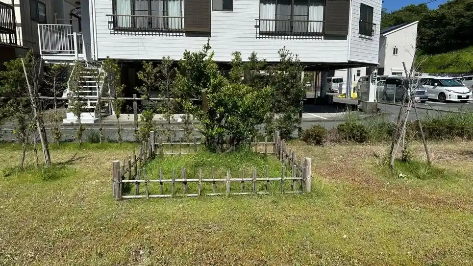 Orange Tree Planted by Ieyasu