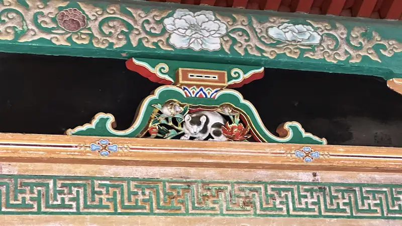 眠猫