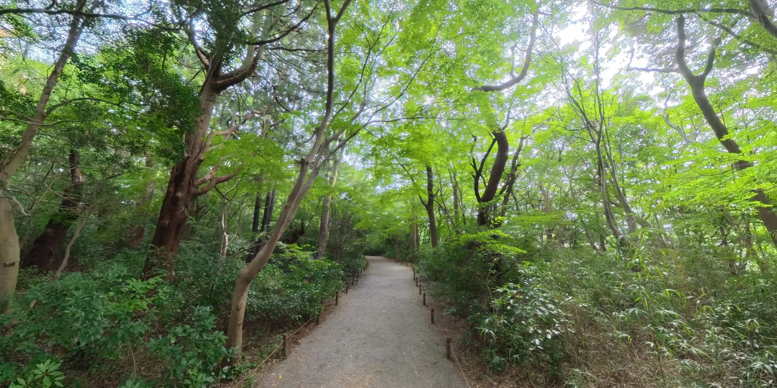 Honmaru Grounds (ほんまるえんち)