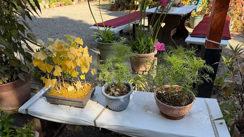 源九郎稲荷神社