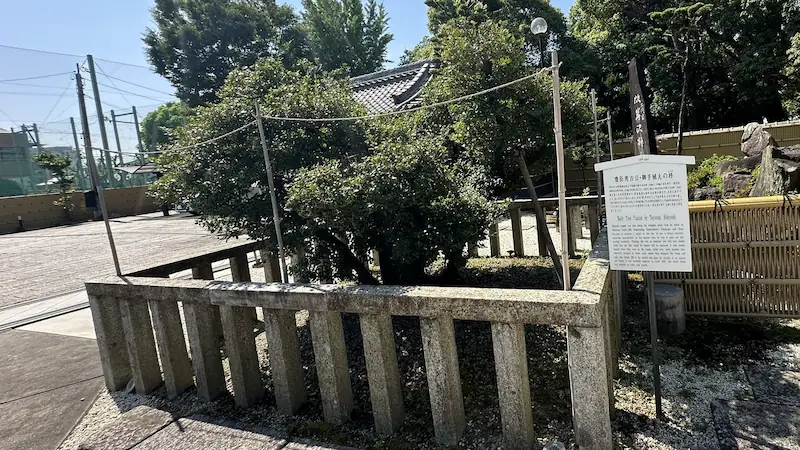 秀吉公御手植えの柊