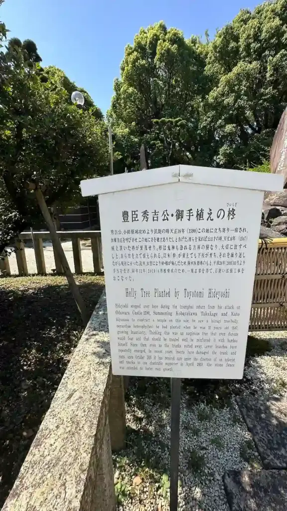 秀吉公御手植えの柊