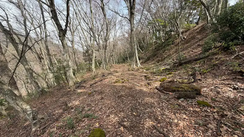 小谷城跡の帯曲輪