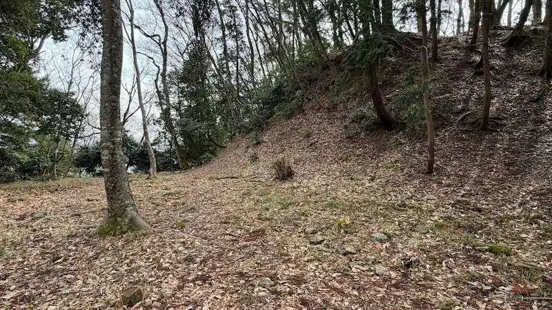 小谷城跡の大堀切付近から本丸方向を見た景観