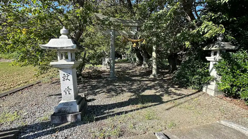 流岡神社の鳥居——農道に面した静かな境内。樹齢1300年の大杉が奥にそびえる