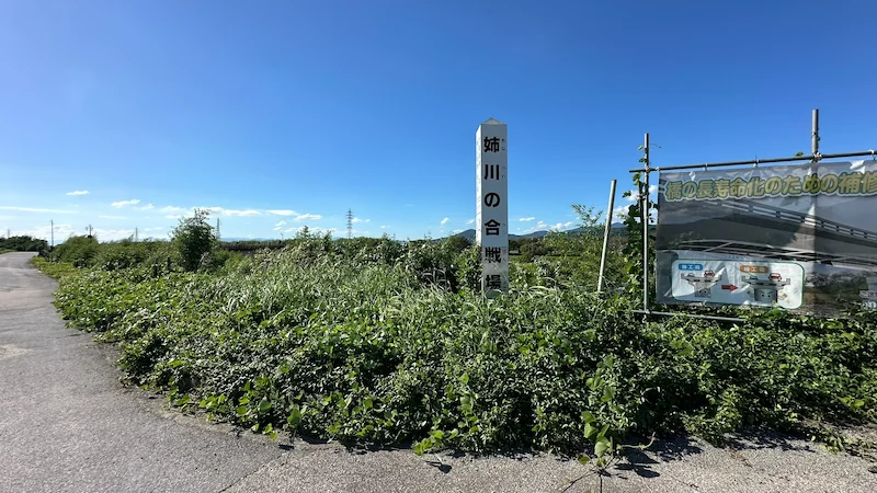 姉川古戦場の田園風景——滋賀県長浜市の姉川流域。かつて数万の兵が激突した決戦地