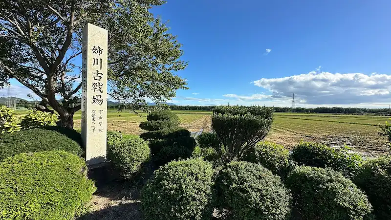 姉川古戦場石碑と田んぼ——浅井町側に整然と並ぶ慰霊碑群