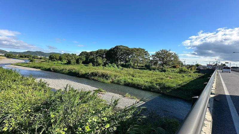 姉川の橋からの眺め——穏やかな流れと田園風景が広がる