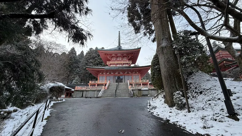 Hokke Soji-in East Pagoda with snow