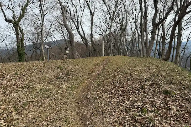 伝 堀秀政陣地跡の遺構