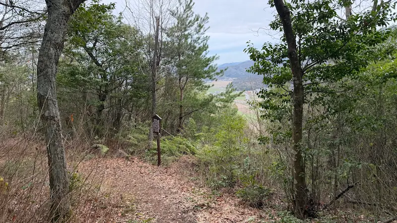 虎御前山展望所の様子