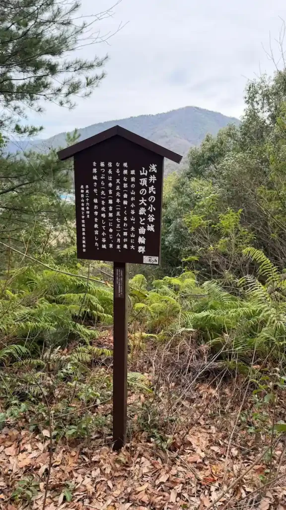 虎御前山展望所からの眺め
