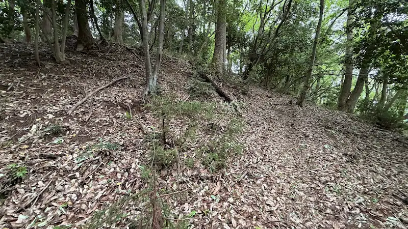 Kuruwa enclosure near the South Castle, a flat area extending along the ridge