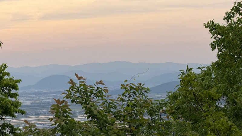 View from Yokoyama Castle North Castle toward Odani Castle, with the Anegawa battlefield also in sight