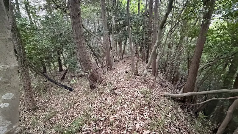 Earthwork at the South Castle, preserved as a mountain castle defensive feature