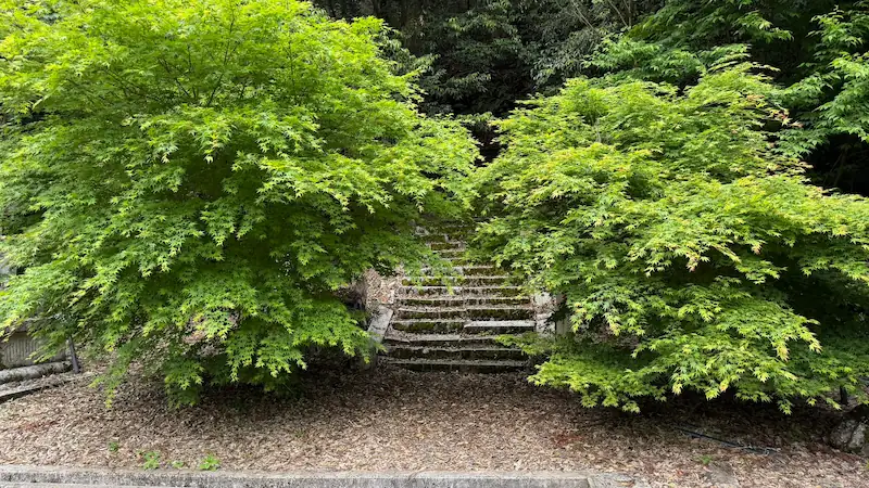 The entrance to the Saigoku Thirty-Three Kannon Pilgrimage Route on the right side of the main hall. The sign is difficult to see through the trees