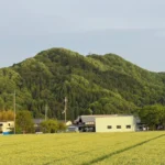 横山城跡