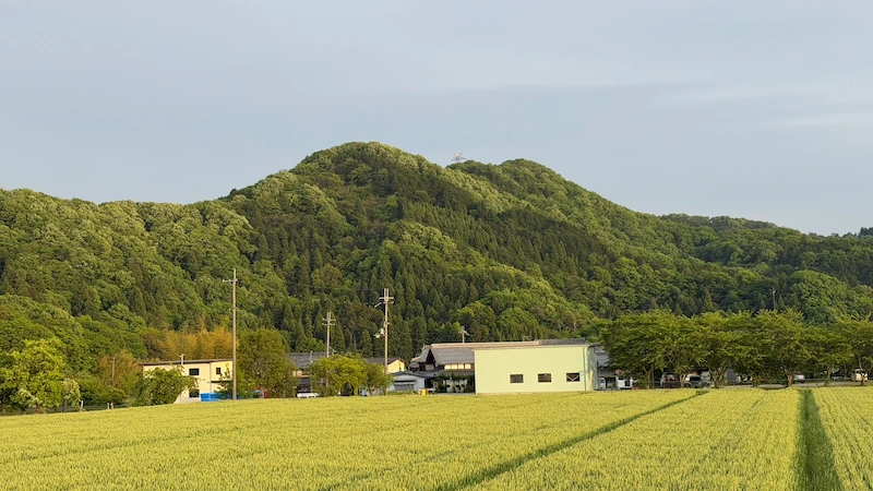 横山城跡
