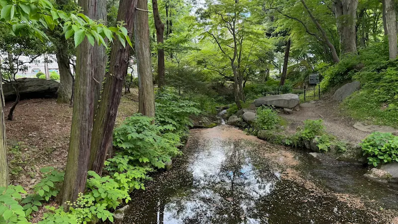 Tsuru-ga-ike Pond — another view