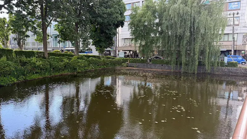Kame-ga-ike Pond in Morioka Castle Ruins Park