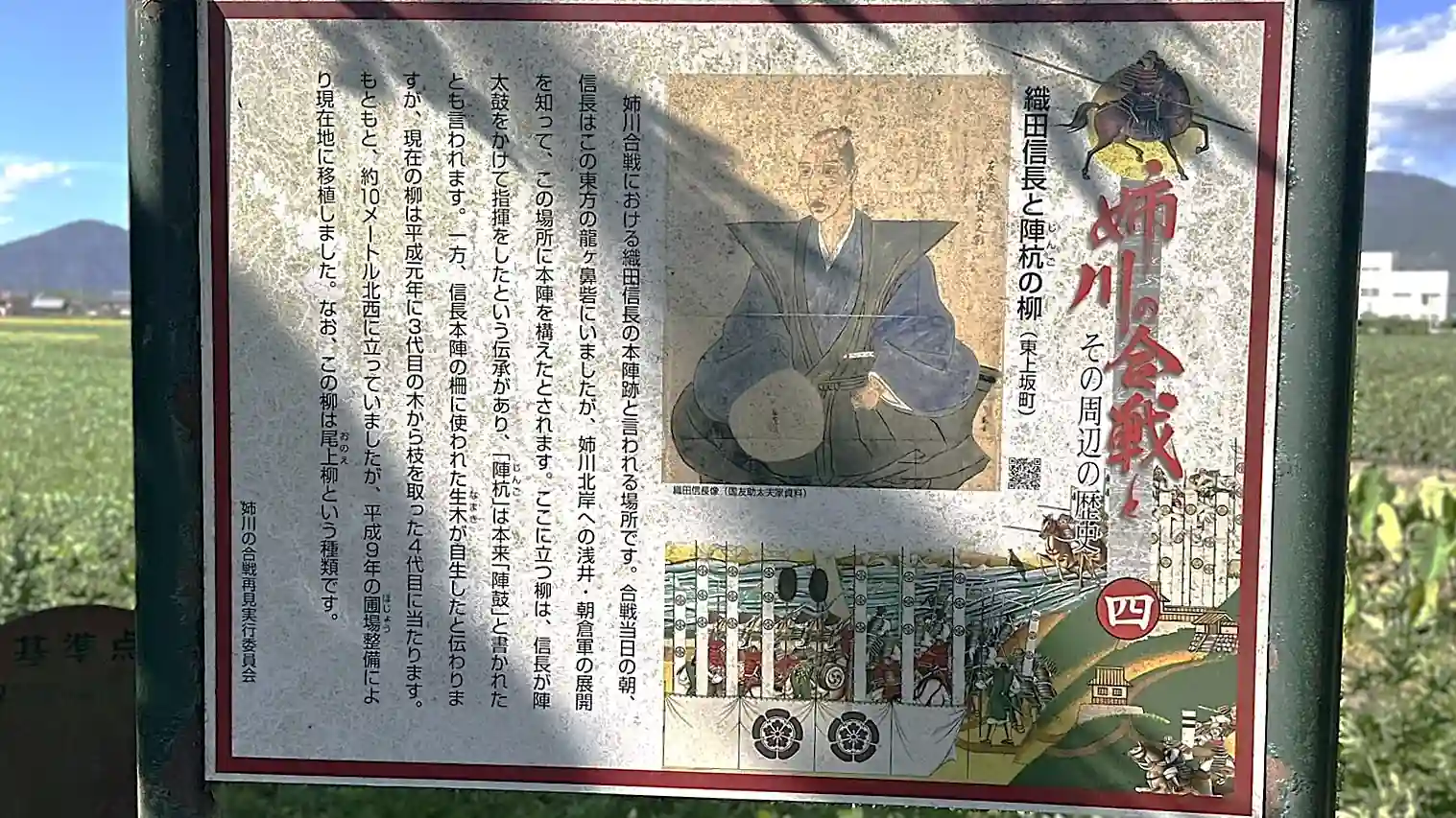 看板番号4 織田信長と陣杭の柳