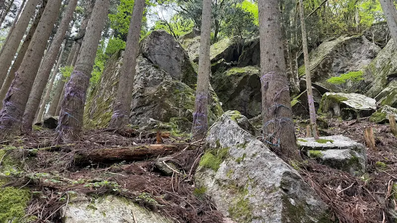 Close view of Nobunaga's Hidden Rock