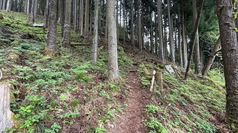信長の隠れ岩へ向かう土の山道