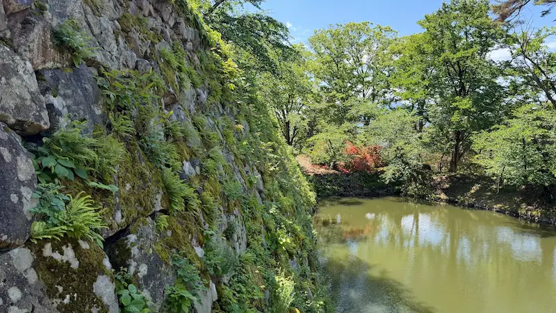 Stone walls at Hirosaki Castle alternate view (May 2026)