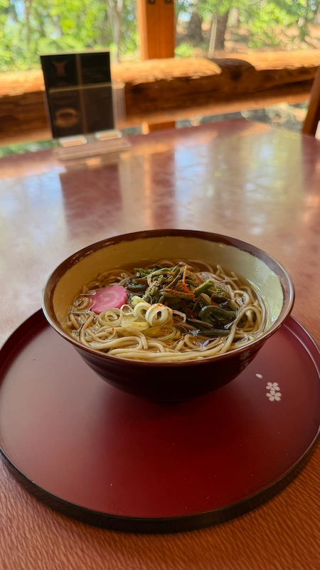 Soba noodles at Butokuden Rest Area (May 2026)