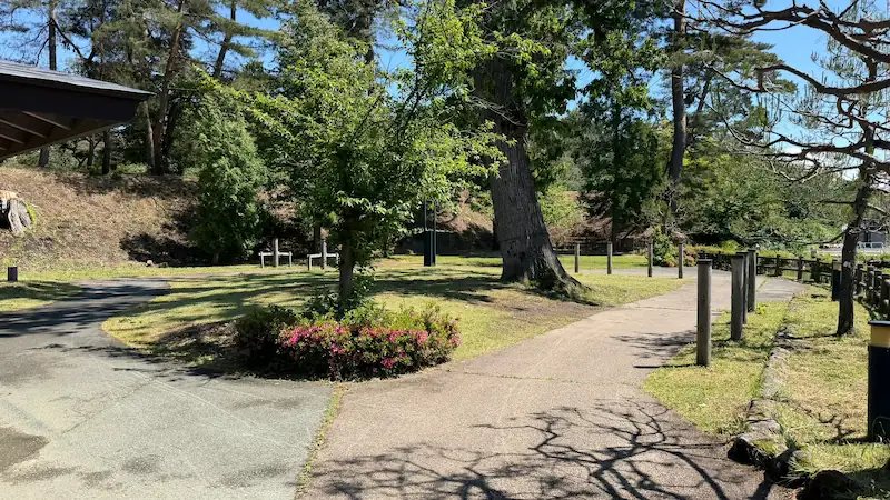Tachigami site supplementary view (May 2026)