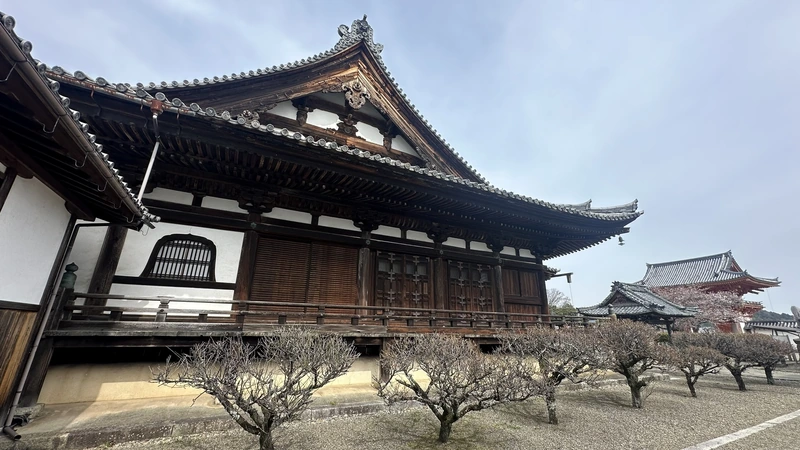 A view of the main hall at Jogon-in Temple from among the trees on the grounds, with tiled roof and white walls layered in the frame.