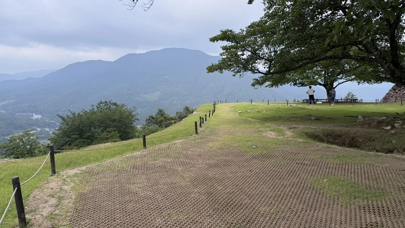 A grassy path and a single large tree at Kita-Senjo, with distant mountains behind, conveying the open feel of the bailey.