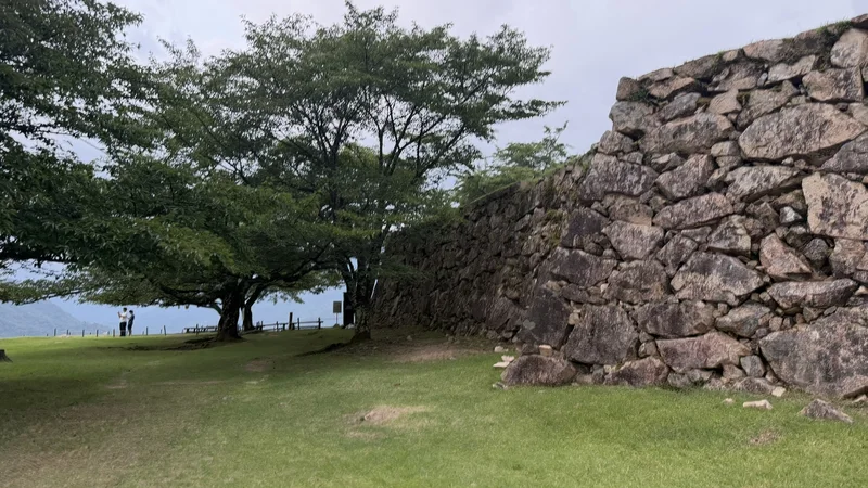 A large tree beside the stone wall at Kita-Senjo, contrasting the flat lawn with the tall stone rampart.