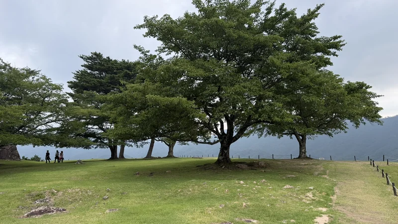 The wide lawn and trees of Kita-Senjo, showing the open, spacious feel of this bailey at Takeda Castle Ruins.