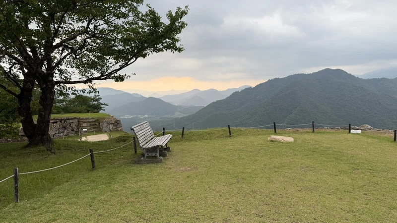 The lawn at Ninomaru with a large tree, benches, and mountains beyond — a spot to rest while taking in the view.