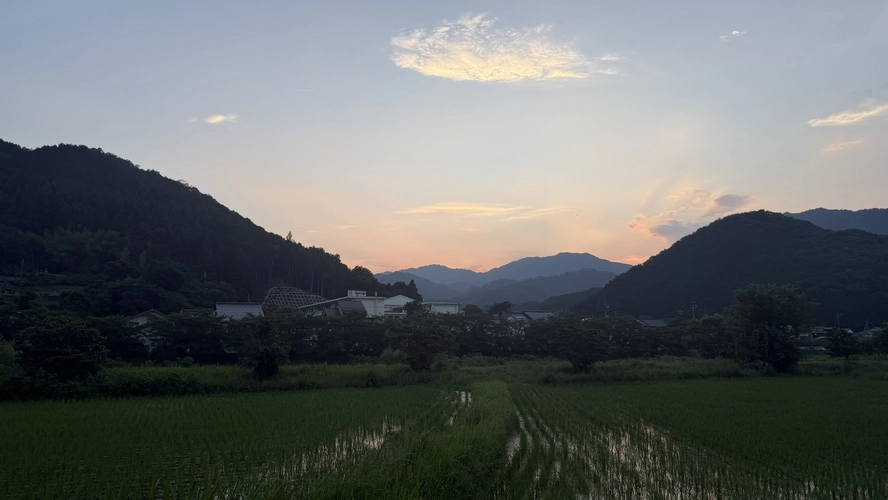 The Takeda settlement and its rice fields, seen from a distance across the valley at dusk or early morning.