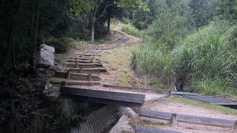 A wooden bridge and steps on the trail up to Takeda Castle Ruins, surrounded by trees and brush on a sloped path.