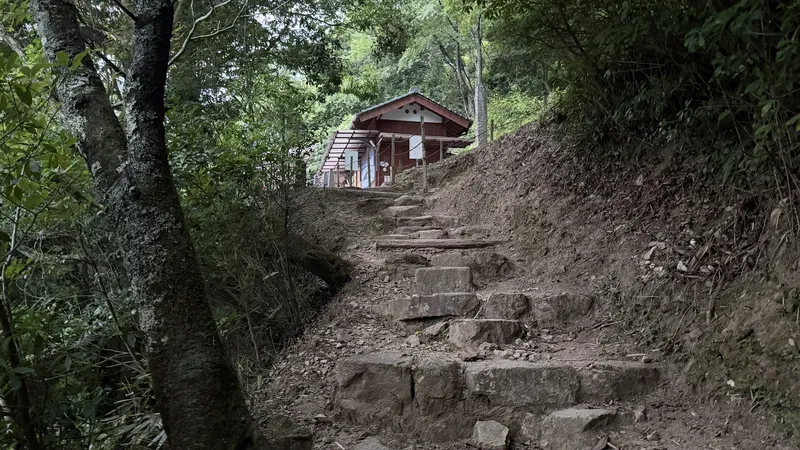 A flight of steps on the trail leading up to the ticket booth.