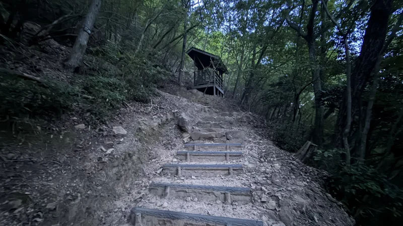 A stepped section of trail through the forest, with a small rest area visible partway up.