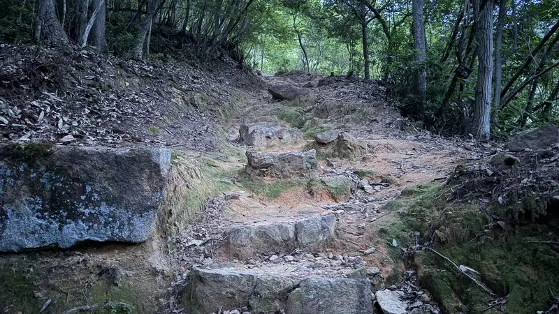 A rugged, rocky stretch of trail with large steps underfoot, showing how steep the climb to the mountaintop castle can be.