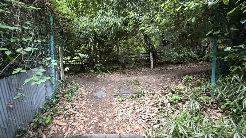 Along the trail