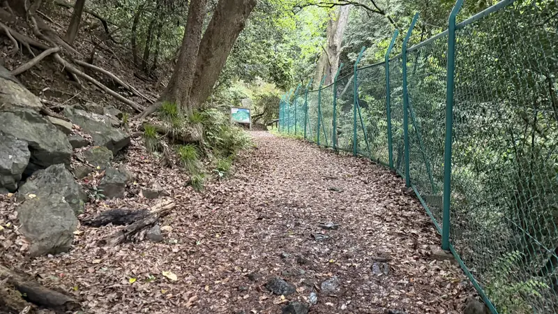 Along the trail
