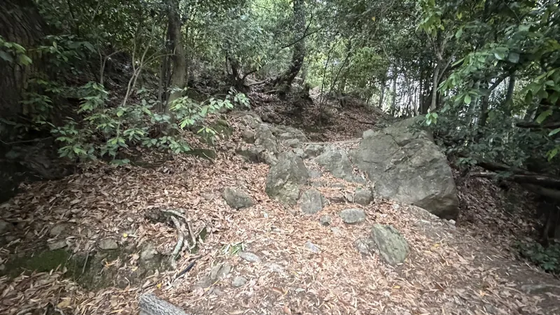 Atmosphere along the trail