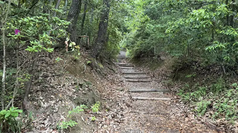 Along the trail