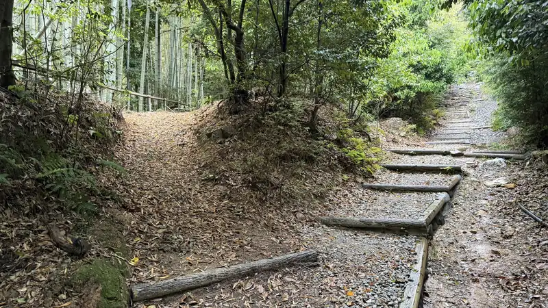 A fork in the trail; both paths reconnect